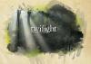 Ecran du jeu vid�o Twilight (DR)