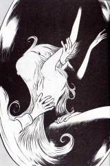 Dans le manga la scène où Freija se fait caresser par les frère Géant du Riesenheim n'a pas été censurée comme dans l'animé