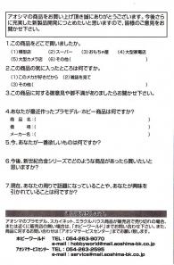 Page 2 de la garantie du Queen Emeraldas d'Aoshima