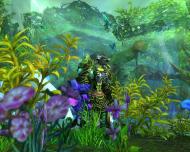 Screenshot of the day d'un tauren à Feralas (world of warcraft)