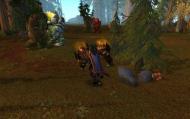 Screenshot of the day d'un tauren courant dans les Grisonees (world of warcraft)