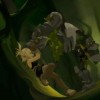 Wakfu_episode_24_50