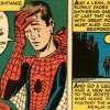 Spiderman : Un grand pouvoir implique de grandes responsabilités