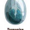Dofus Turquoise