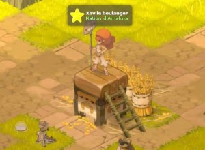 Xav le boulanger (MMO Wakfu)