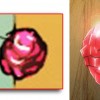La boule rose que Jadina jette est un drag-energyst tiré de Vision d'Escaflowne