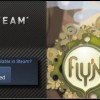 Ankama : Fly’N veut séduire la communauté Steam (Valve)