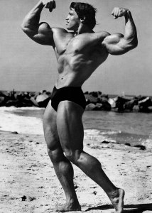 Arnold Schwarzenegger