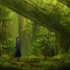 Kirito dans les bois après l'exploration du labyrinthe du niveau 74