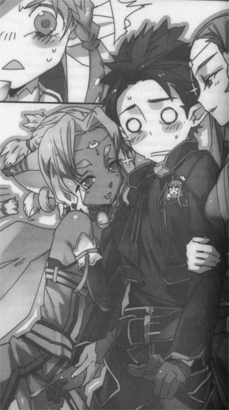 Exemple d'image en N&B : Kirito bien entouré par la chef des Caith Sith et des Sylphes