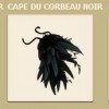 La panoplie du Corbeau Noir dans le jeu vidéo en ligne Dofus