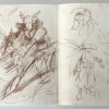 Croquis de recherche sur le Corbeau Noir (Page 104 du Tome 2 de l'Art Book de Wakfu)