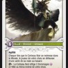 Avec la Box collector se trouve une carte du Corbeau Noir tiré du jeu Wakfu TCG