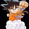 Songoku dans Dragon Balla