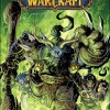 Couverture du tome 2 de bande dessinee World of Warcraft :  en terre etrangère