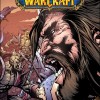 Couverture du tome 12 de la bande-dessinee World of Warcraft