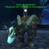 Garrosh dans la citadelle des glaces dans l'extension la colère du roi liche (World of Warcraft)