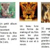 Couverture et résumé des livres produits dérivés Félins