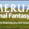 Otakia Header Concert compositeur Final Fantasy et de Mina pour Imeruat