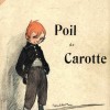 Poil de carotte