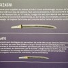 Panneau avec divers types de sabres : différence entre Tanto et Wakizashi