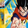 DBZ-Kai-part-1-br-fr-214x300