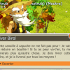 Diver Birel - Dofus