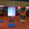 Initiation à l'athlétisme par la fédération (Kid Expo 2015)