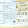 the art of dofus livre 1 julith ankama page 11