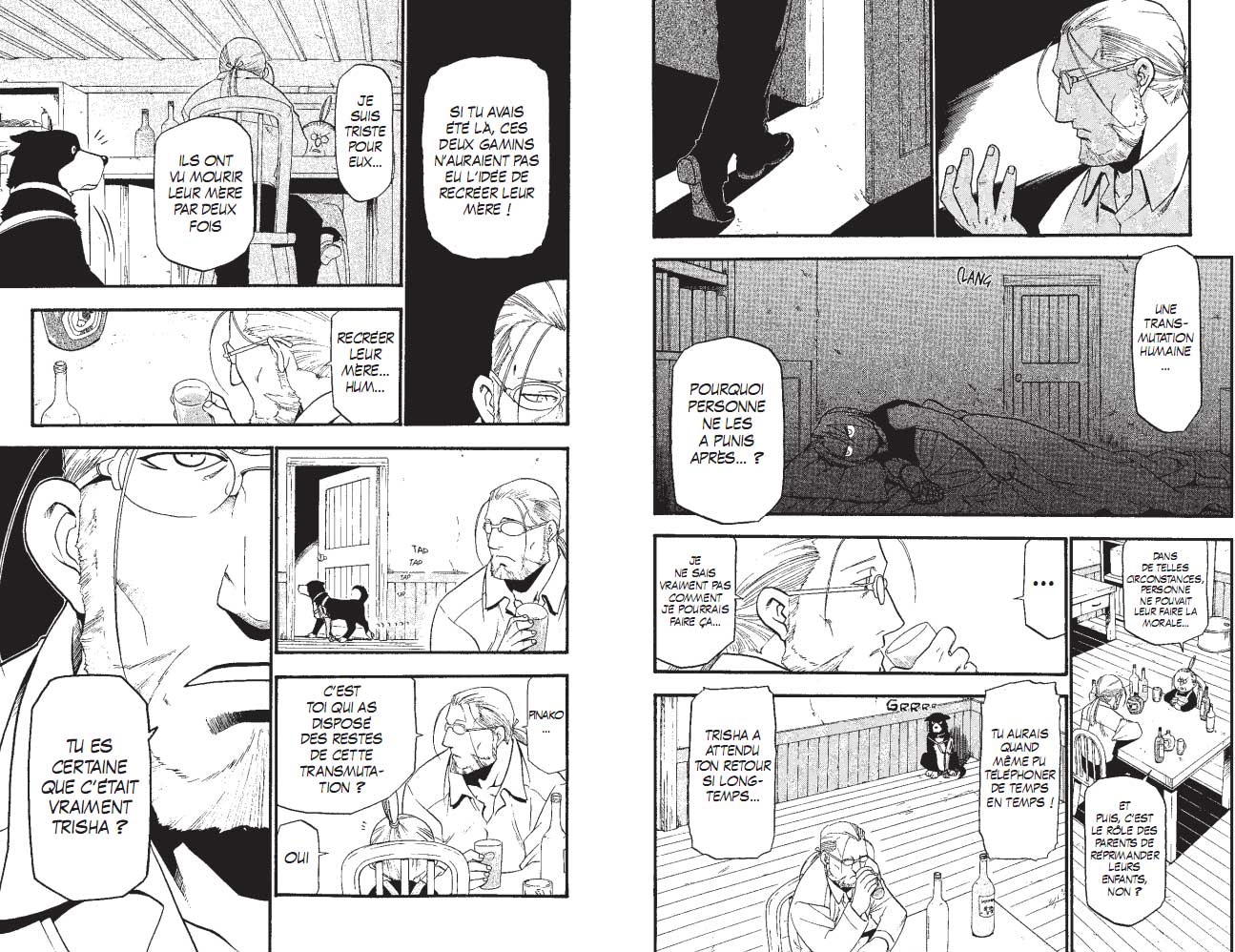 Full Metal Alchemist T11 Page 11