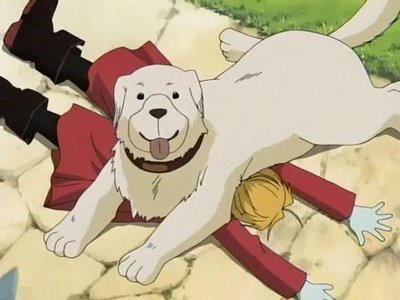 Alexander le chien de Shô Tucker (Fullmetal Alchemist)